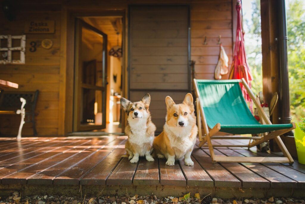 Ferienhaus Hund