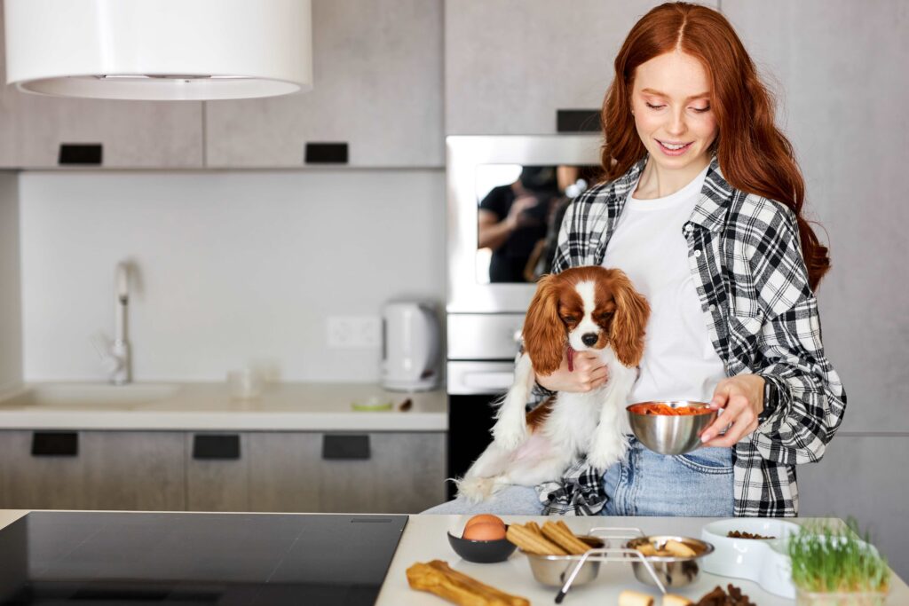 Entzückender süßer reinrassiger Charles King Spaniel wird von der Besitzerin gefüttert, zu Hause in der Küche, attraktive kaukasische Dame in Freizeitkleidung, die tagsüber im Innenbereich eine Mahlzeit für ihr Haustier zubereitet