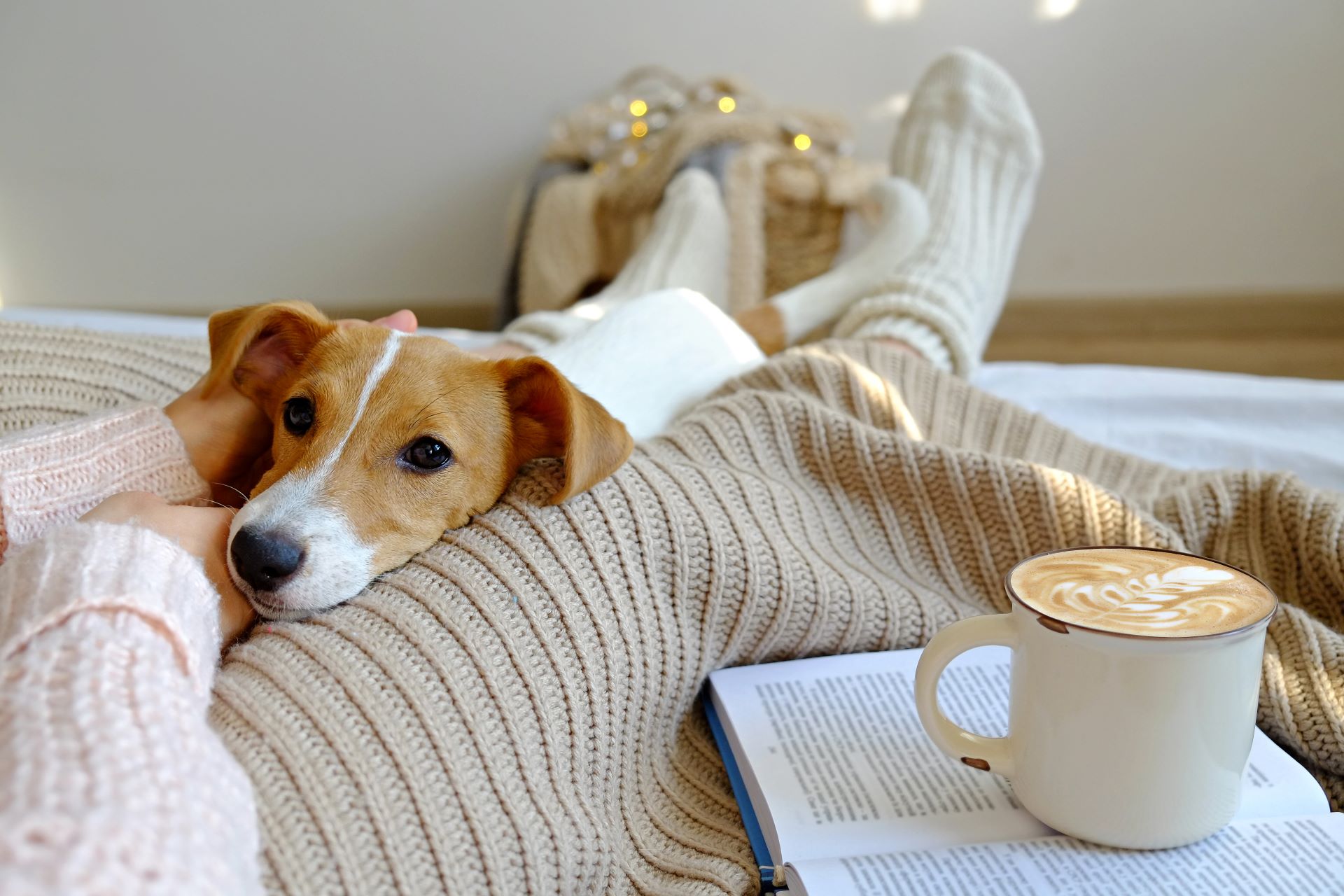 Hund auf Plaid mit Buch und Kaffee